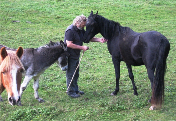 Tierische Opas